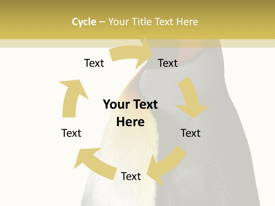 A Penguin Standing Next To A Wall With A White Background PowerPoint Template