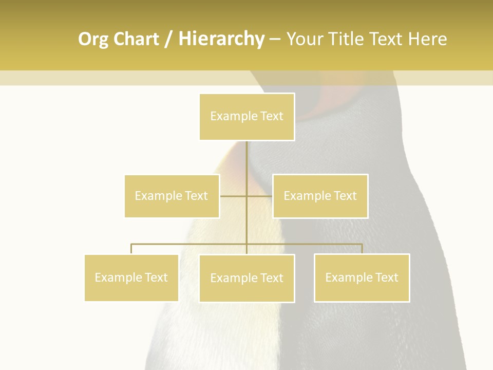 A Penguin Standing Next To A Wall With A White Background PowerPoint Template