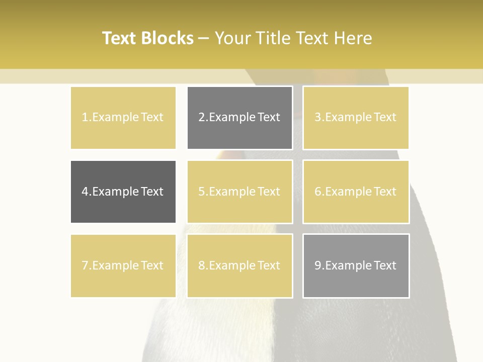 A Penguin Standing Next To A Wall With A White Background PowerPoint Template