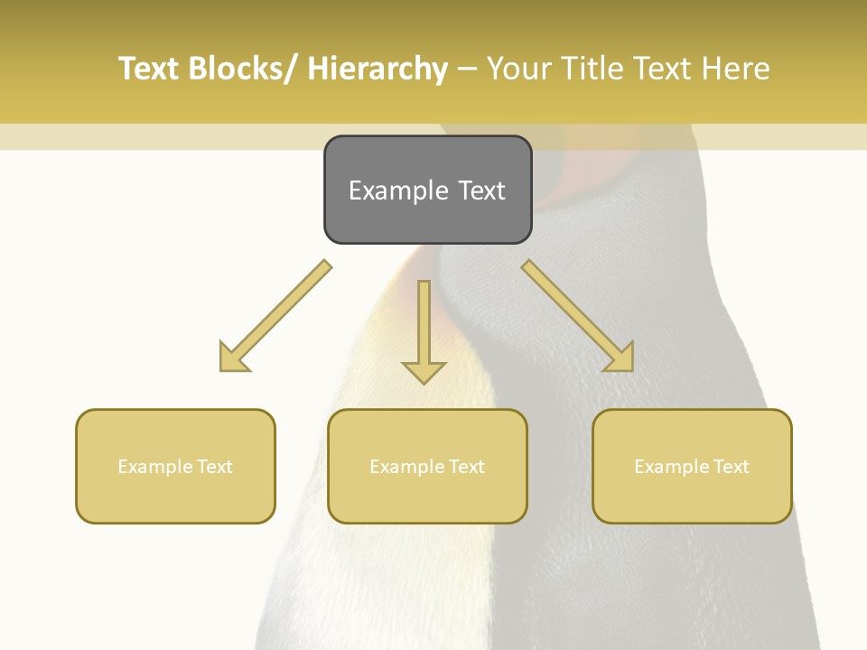 A Penguin Standing Next To A Wall With A White Background PowerPoint Template