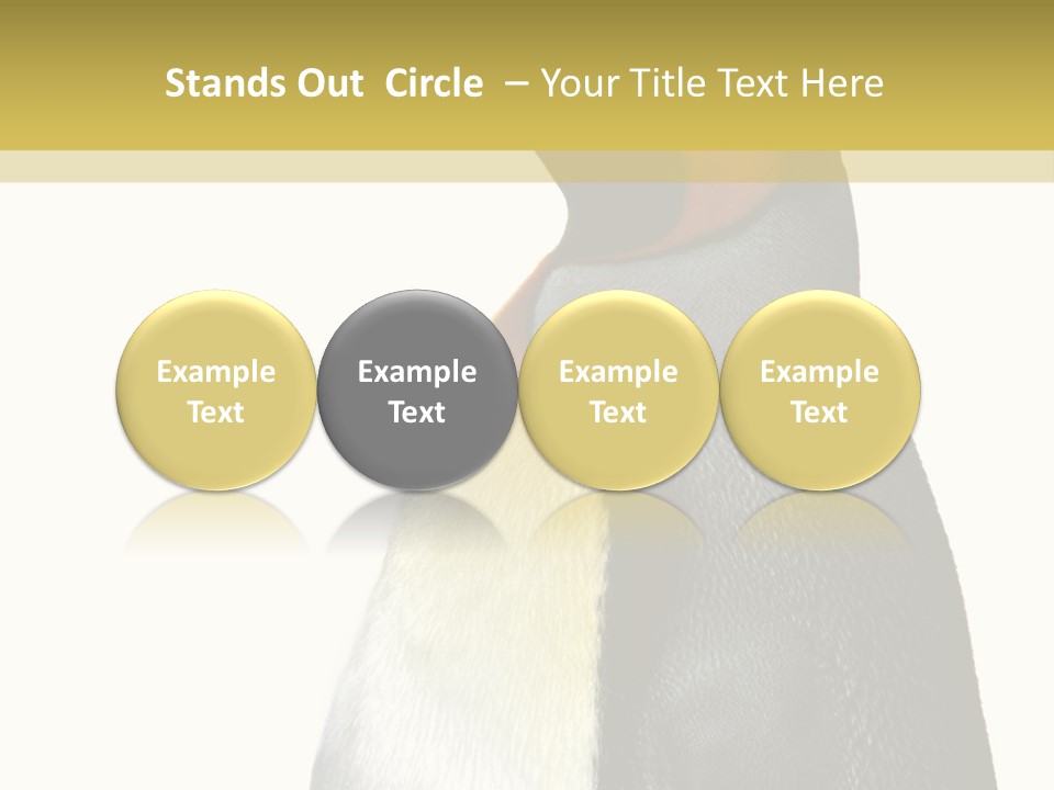 A Penguin Standing Next To A Wall With A White Background PowerPoint Template