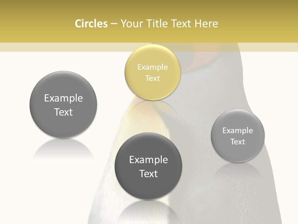 A Penguin Standing Next To A Wall With A White Background PowerPoint Template