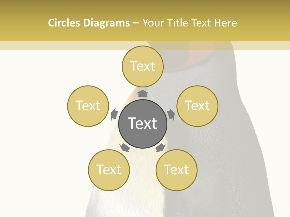 A Penguin Standing Next To A Wall With A White Background PowerPoint Template