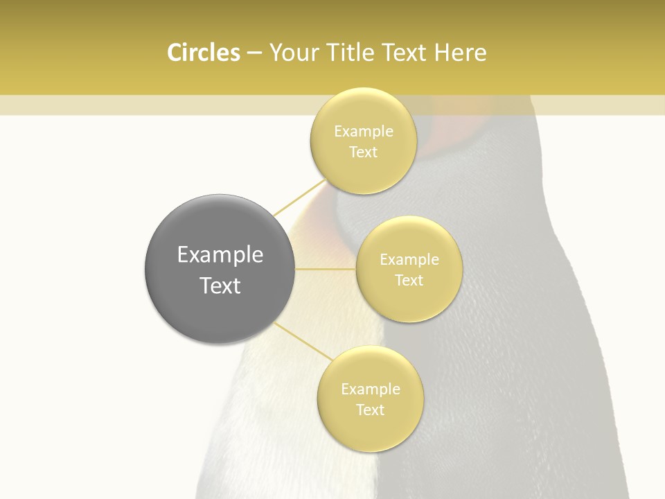 A Penguin Standing Next To A Wall With A White Background PowerPoint Template