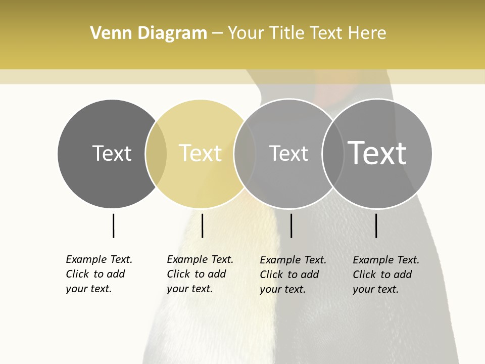 A Penguin Standing Next To A Wall With A White Background PowerPoint Template