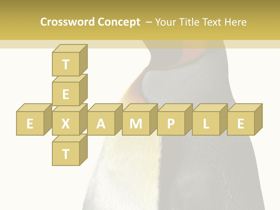 A Penguin Standing Next To A Wall With A White Background PowerPoint Template