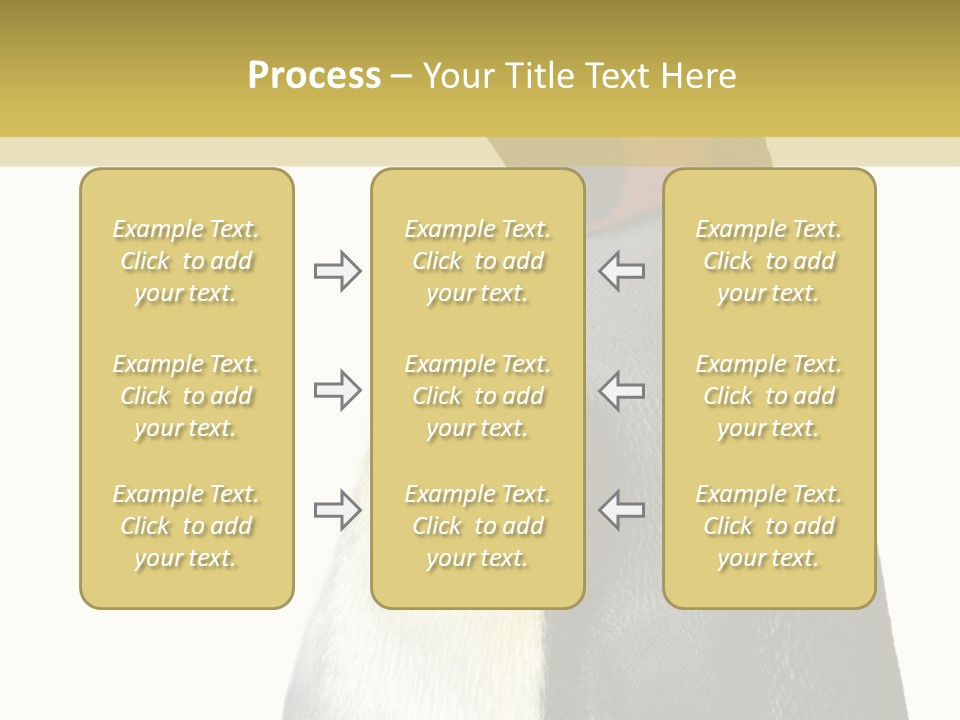 A Penguin Standing Next To A Wall With A White Background PowerPoint Template