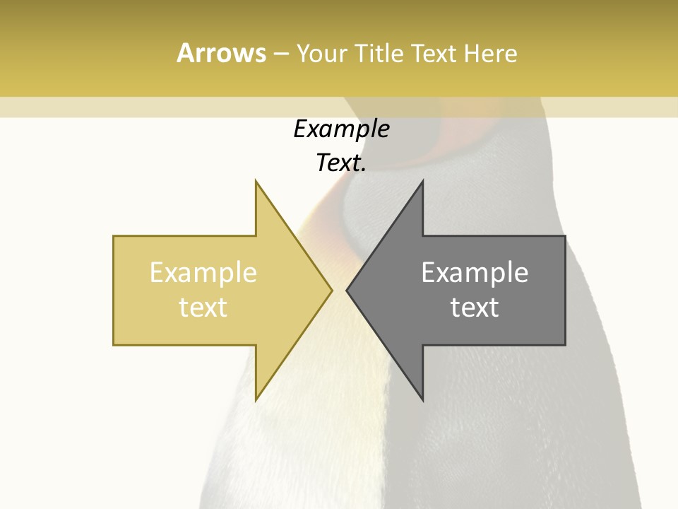 A Penguin Standing Next To A Wall With A White Background PowerPoint Template