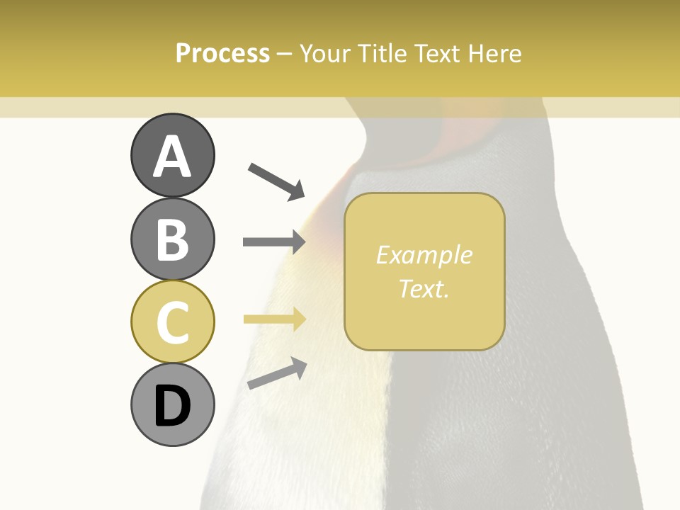 A Penguin Standing Next To A Wall With A White Background PowerPoint Template
