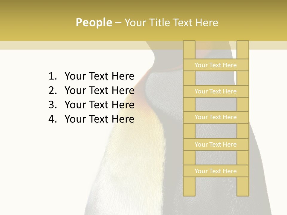 A Penguin Standing Next To A Wall With A White Background PowerPoint Template