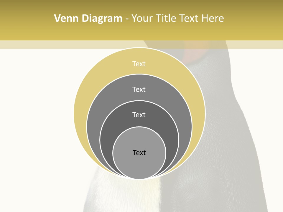 A Penguin Standing Next To A Wall With A White Background PowerPoint Template