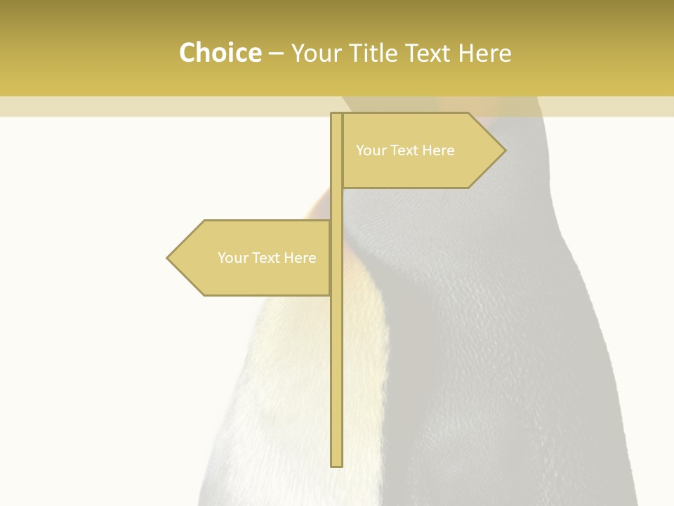 A Penguin Standing Next To A Wall With A White Background PowerPoint Template