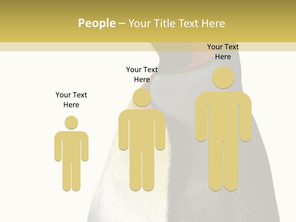 A Penguin Standing Next To A Wall With A White Background PowerPoint Template