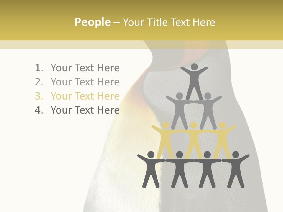 A Penguin Standing Next To A Wall With A White Background PowerPoint Template