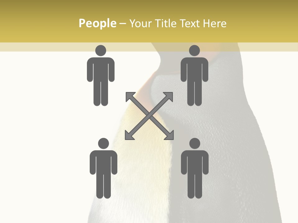 A Penguin Standing Next To A Wall With A White Background PowerPoint Template