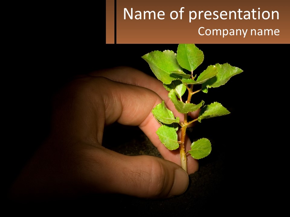 A Person Holding A Plant In Their Hand PowerPoint Template