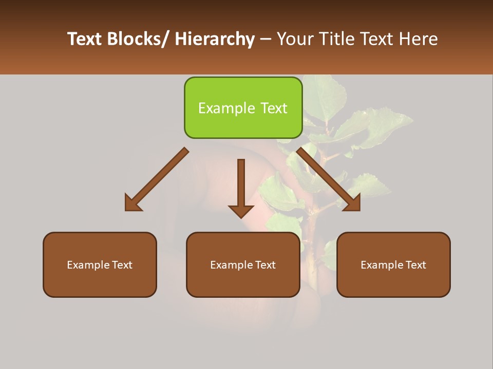 A Person Holding A Plant In Their Hand PowerPoint Template