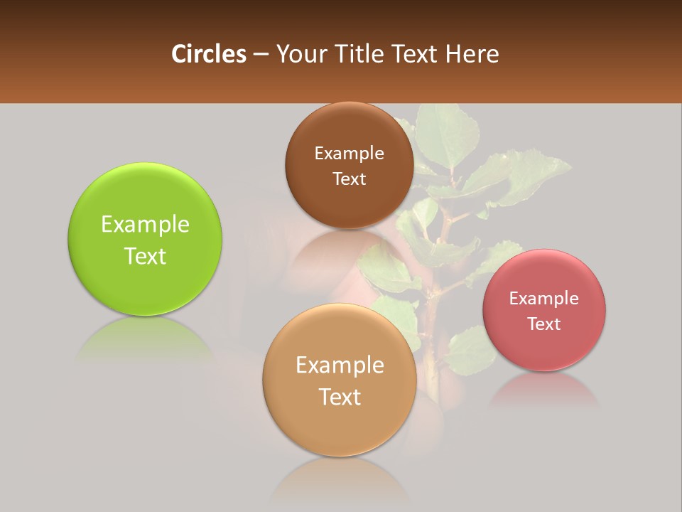 A Person Holding A Plant In Their Hand PowerPoint Template