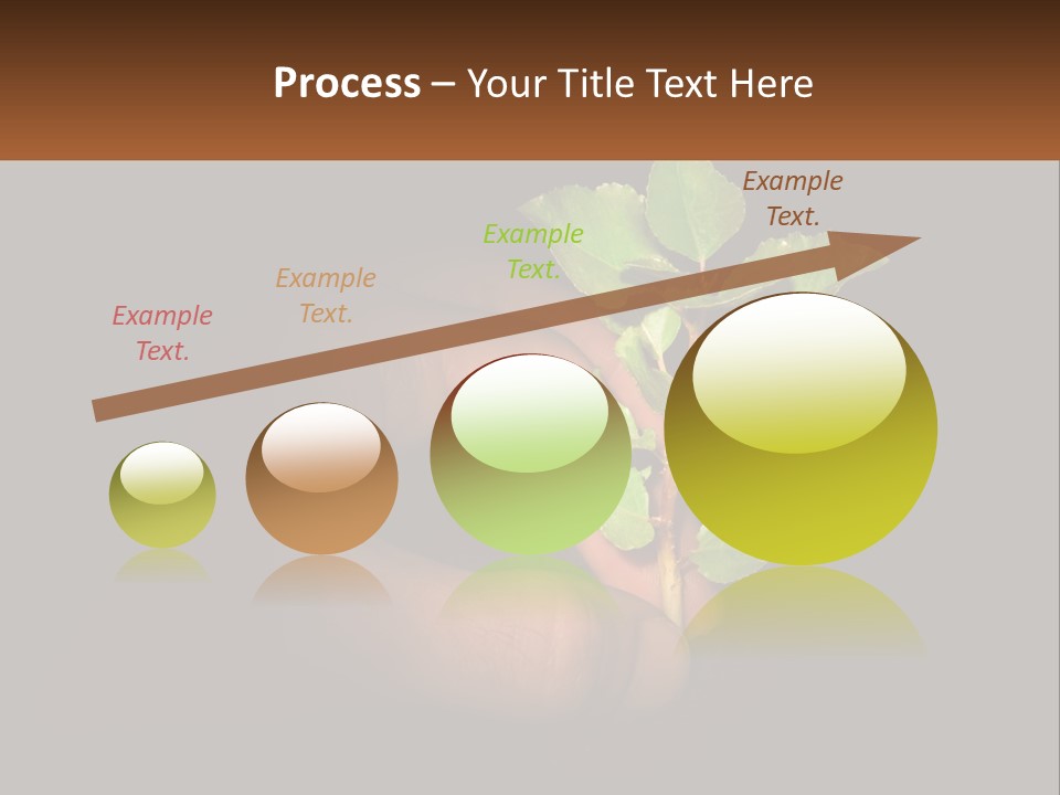 A Person Holding A Plant In Their Hand PowerPoint Template