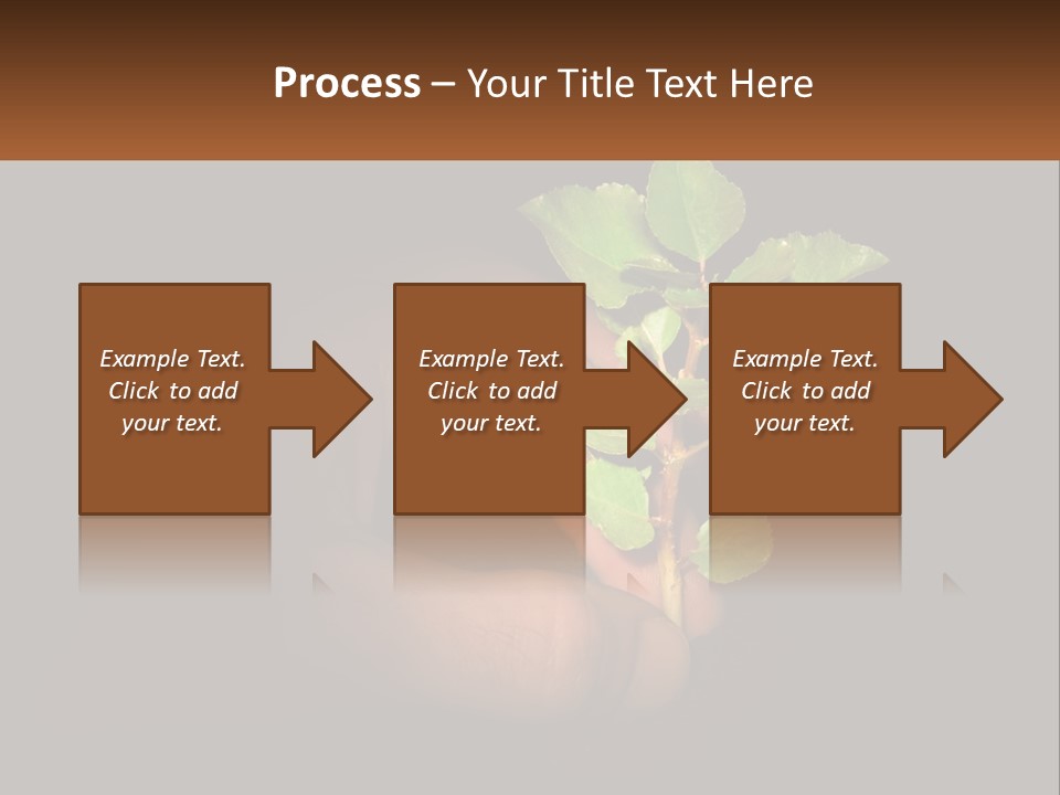 A Person Holding A Plant In Their Hand PowerPoint Template