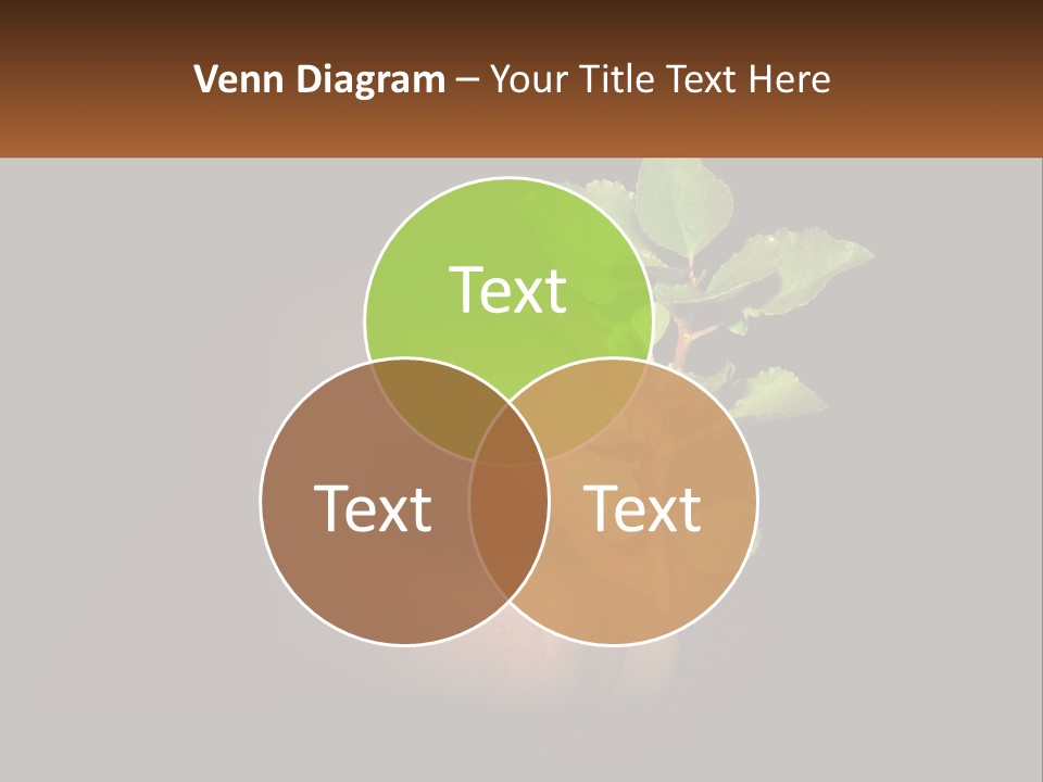 A Person Holding A Plant In Their Hand PowerPoint Template