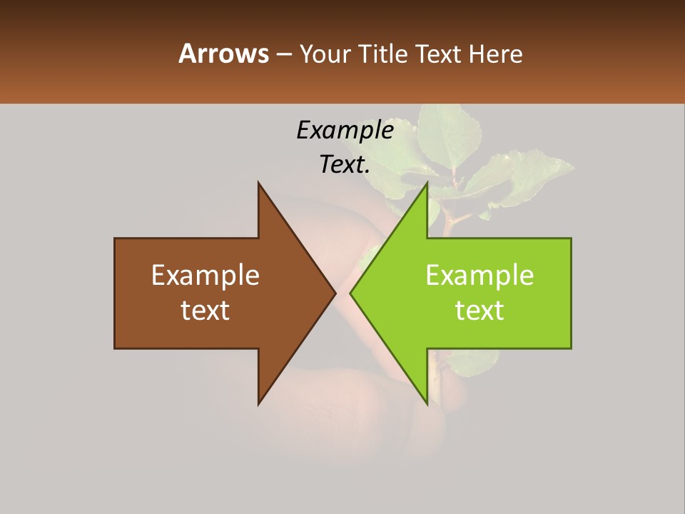 A Person Holding A Plant In Their Hand PowerPoint Template