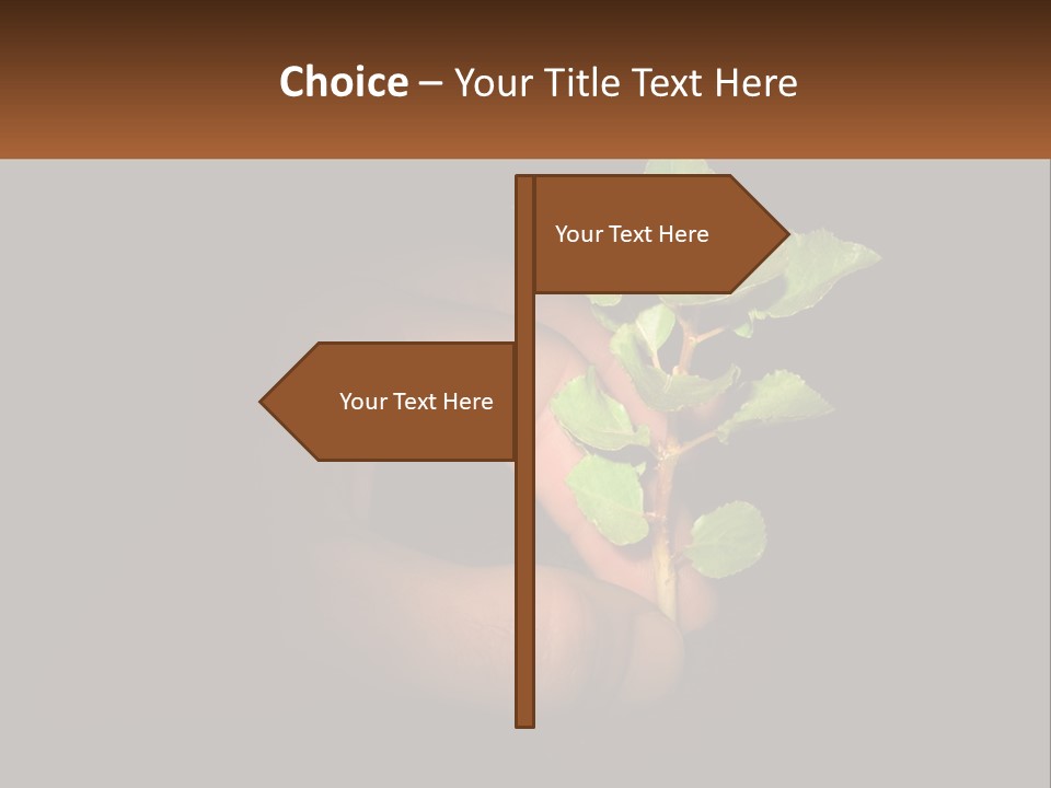 A Person Holding A Plant In Their Hand PowerPoint Template