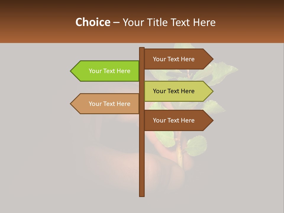 A Person Holding A Plant In Their Hand PowerPoint Template