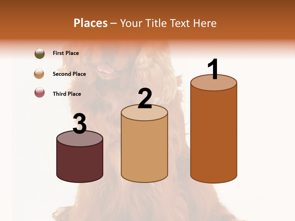 A Brown Dog Sitting On Top Of A White Floor PowerPoint Template