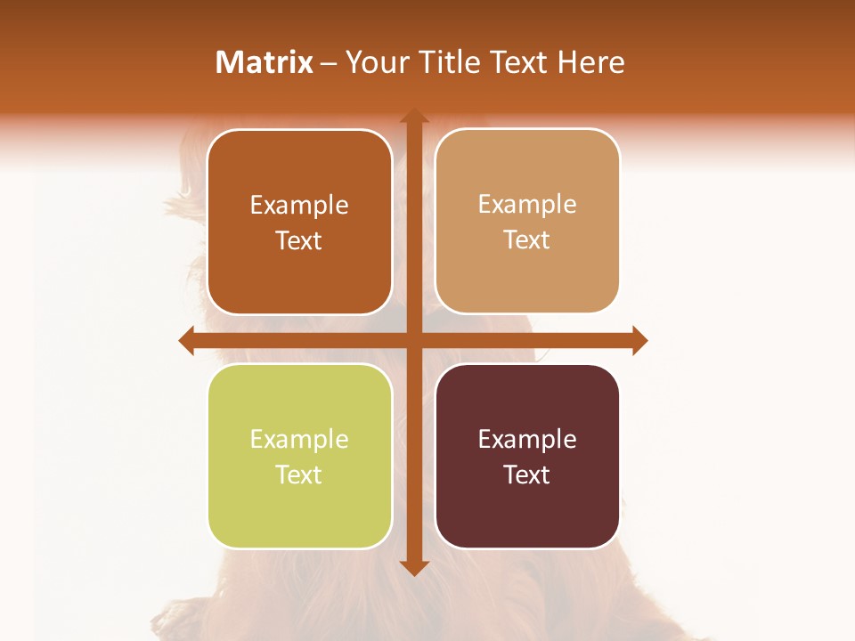 A Brown Dog Sitting On Top Of A White Floor PowerPoint Template