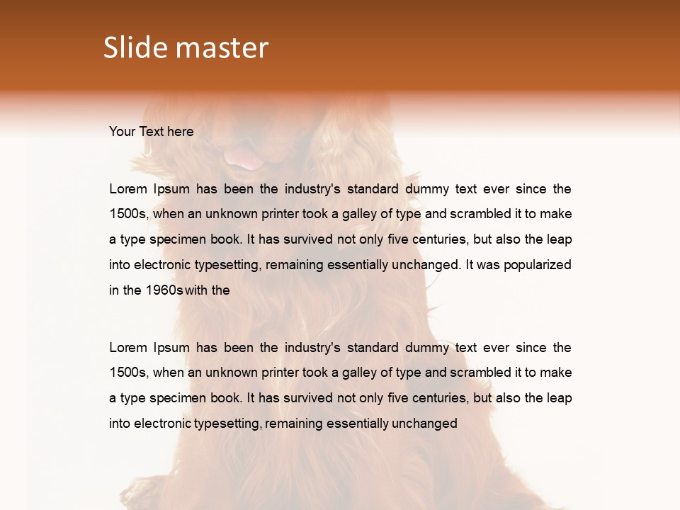 A Brown Dog Sitting On Top Of A White Floor PowerPoint Template