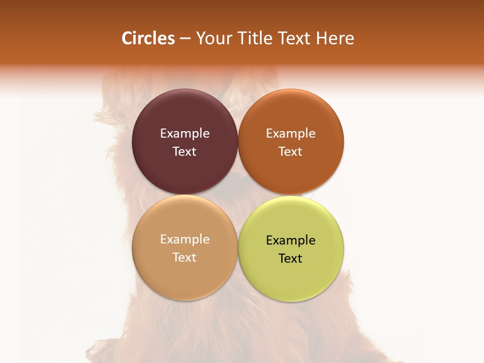 A Brown Dog Sitting On Top Of A White Floor PowerPoint Template