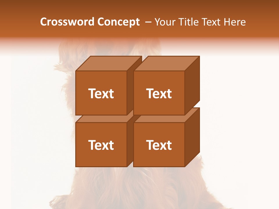 A Brown Dog Sitting On Top Of A White Floor PowerPoint Template