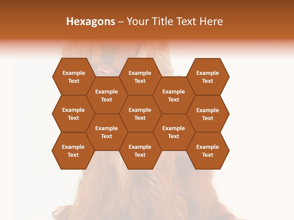 A Brown Dog Sitting On Top Of A White Floor PowerPoint Template