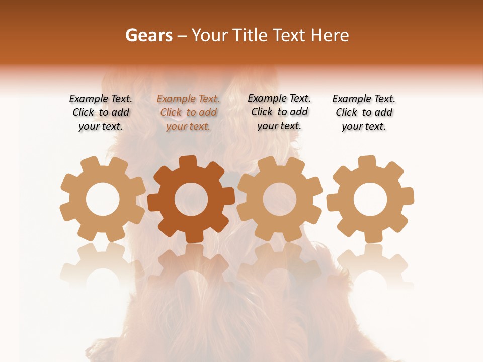 A Brown Dog Sitting On Top Of A White Floor PowerPoint Template