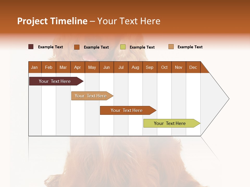A Brown Dog Sitting On Top Of A White Floor PowerPoint Template