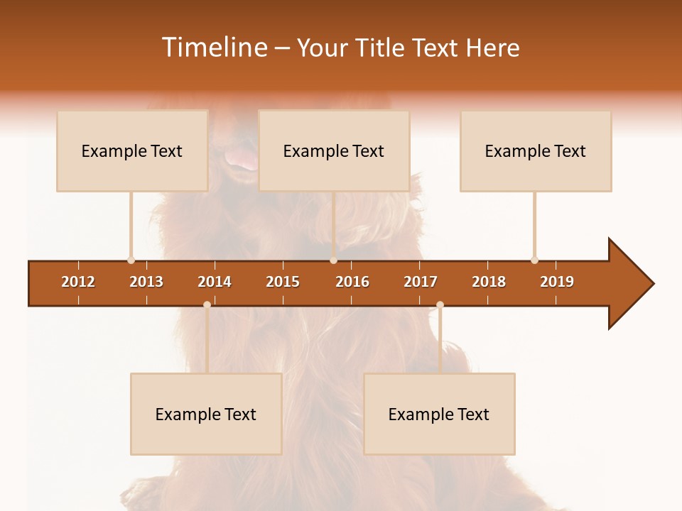 A Brown Dog Sitting On Top Of A White Floor PowerPoint Template