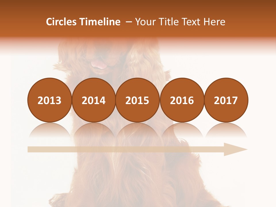 A Brown Dog Sitting On Top Of A White Floor PowerPoint Template