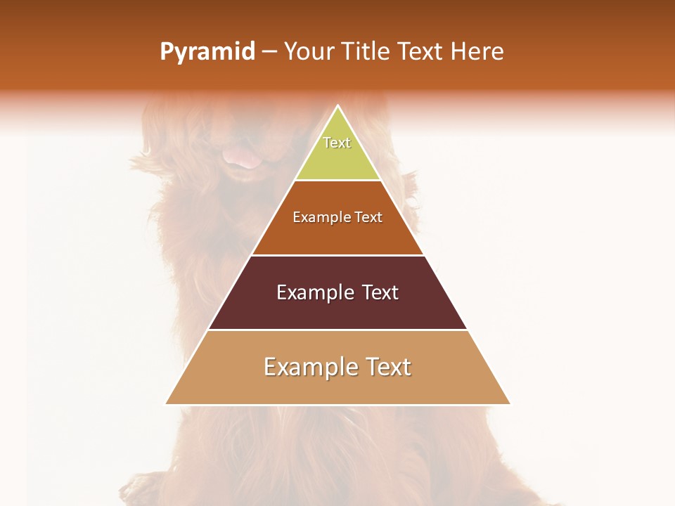 A Brown Dog Sitting On Top Of A White Floor PowerPoint Template