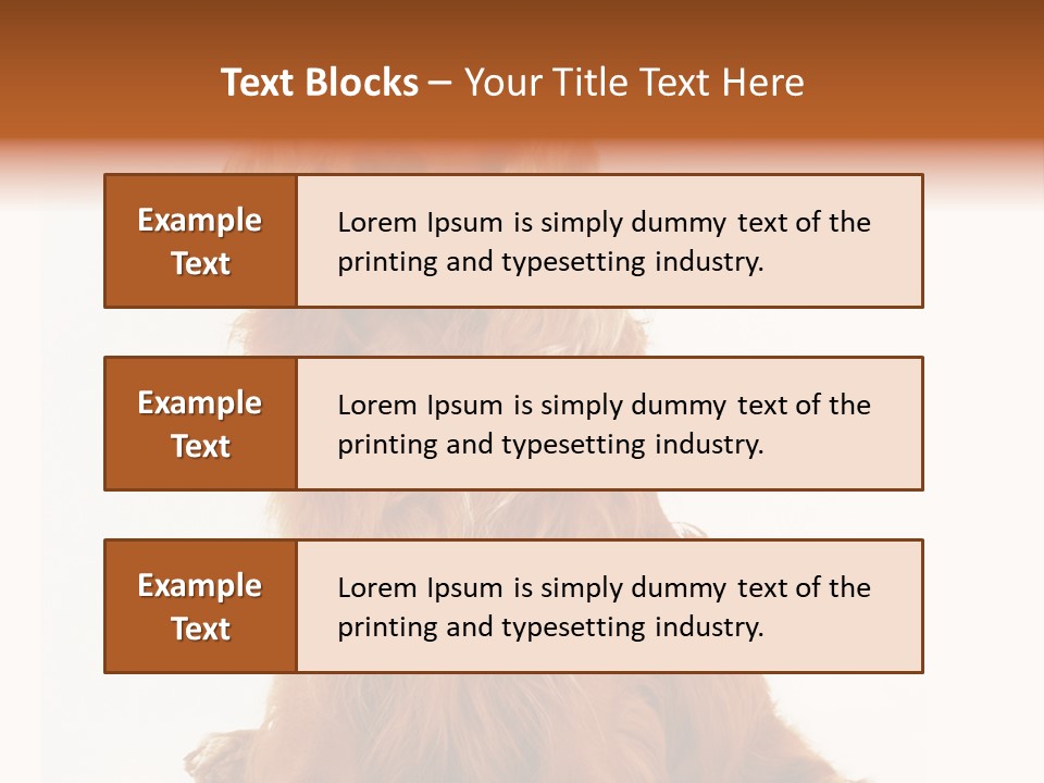 A Brown Dog Sitting On Top Of A White Floor PowerPoint Template