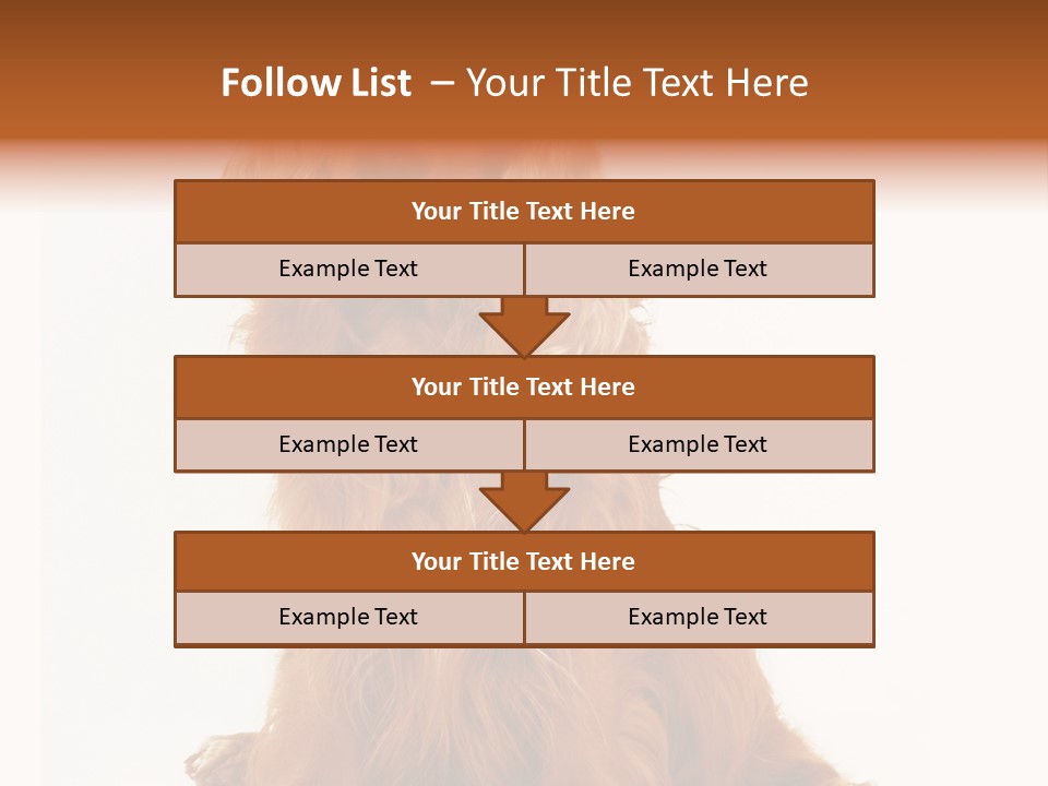 A Brown Dog Sitting On Top Of A White Floor PowerPoint Template