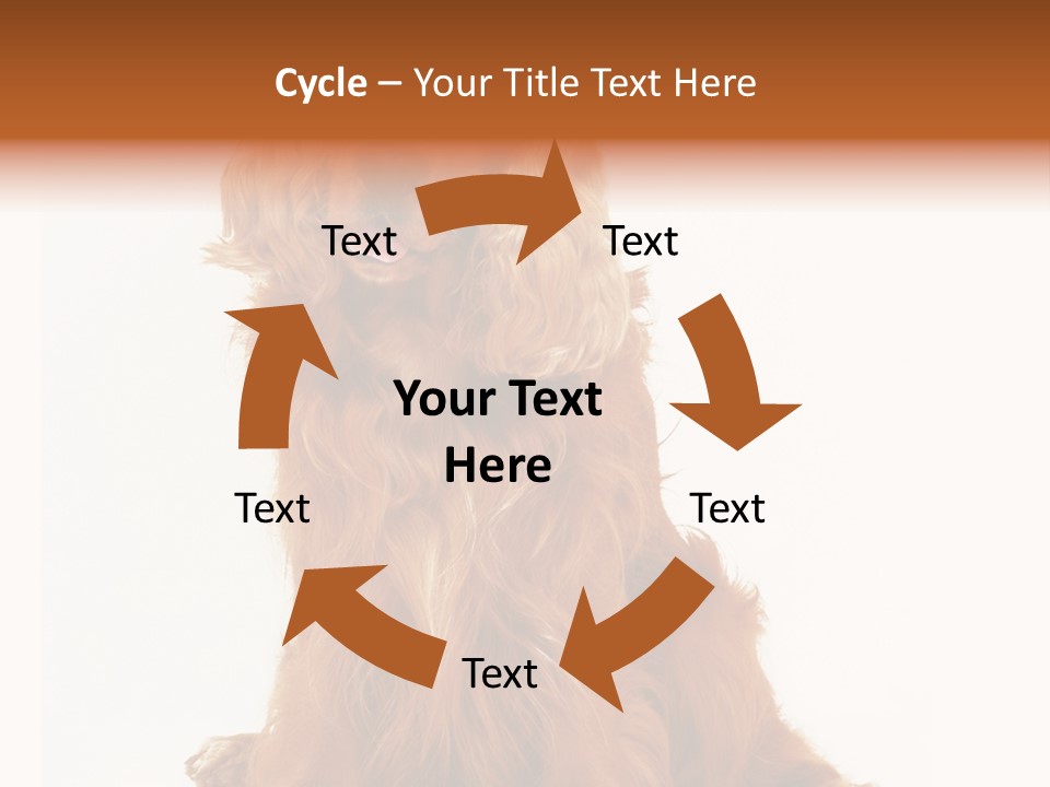 A Brown Dog Sitting On Top Of A White Floor PowerPoint Template