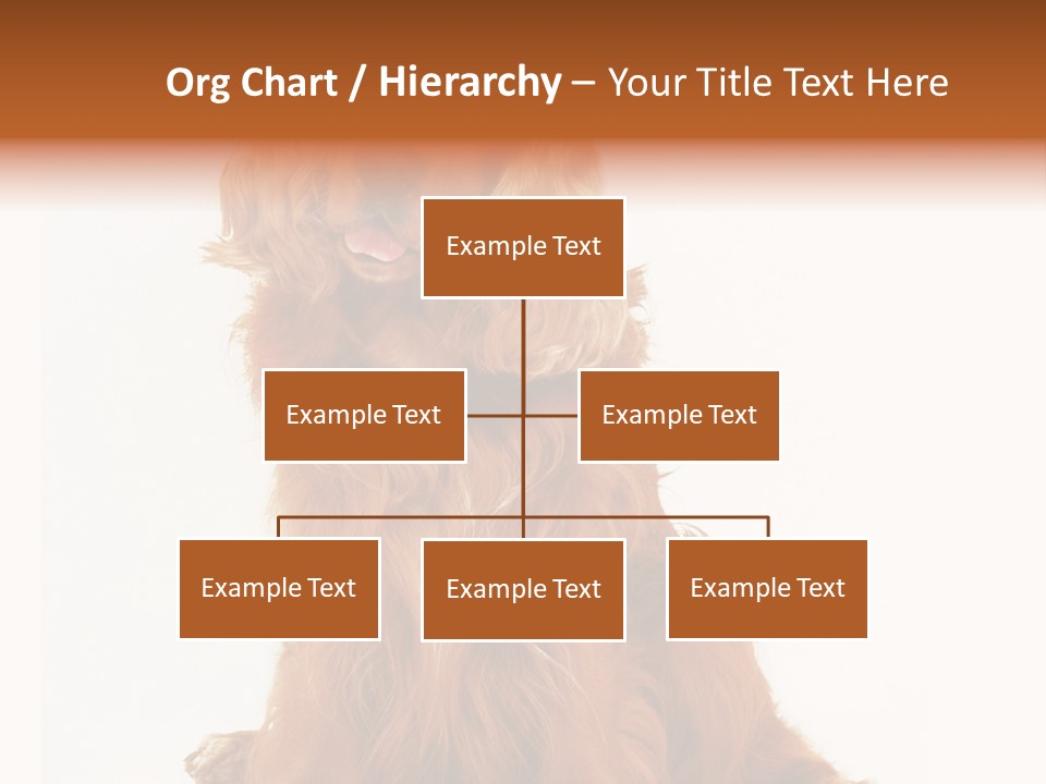 A Brown Dog Sitting On Top Of A White Floor PowerPoint Template