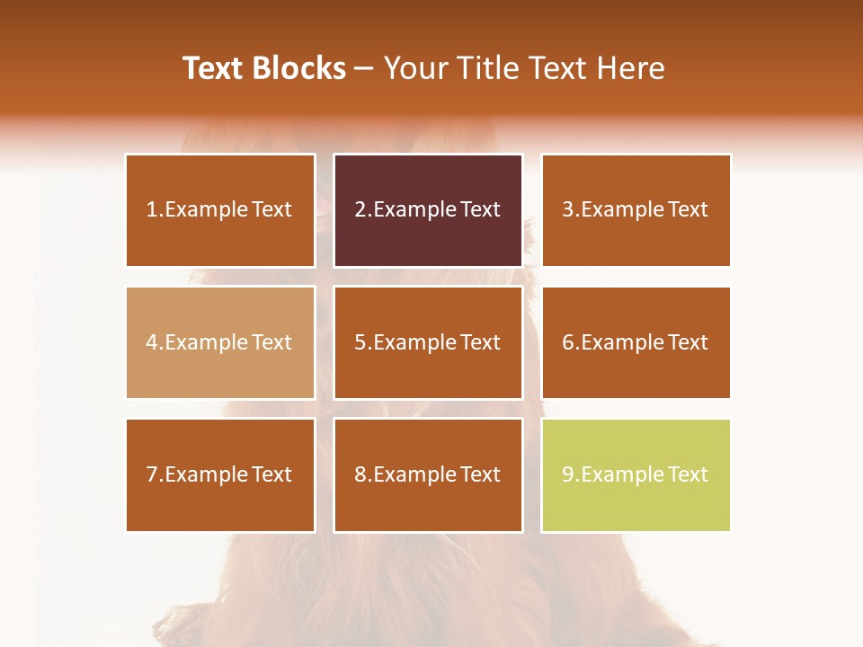 A Brown Dog Sitting On Top Of A White Floor PowerPoint Template