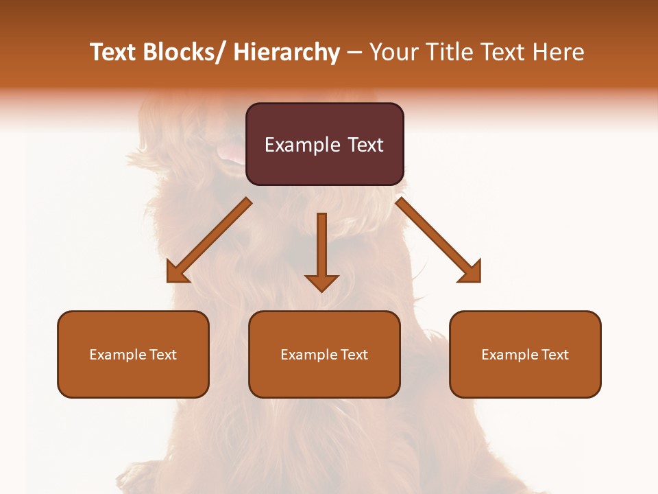A Brown Dog Sitting On Top Of A White Floor PowerPoint Template