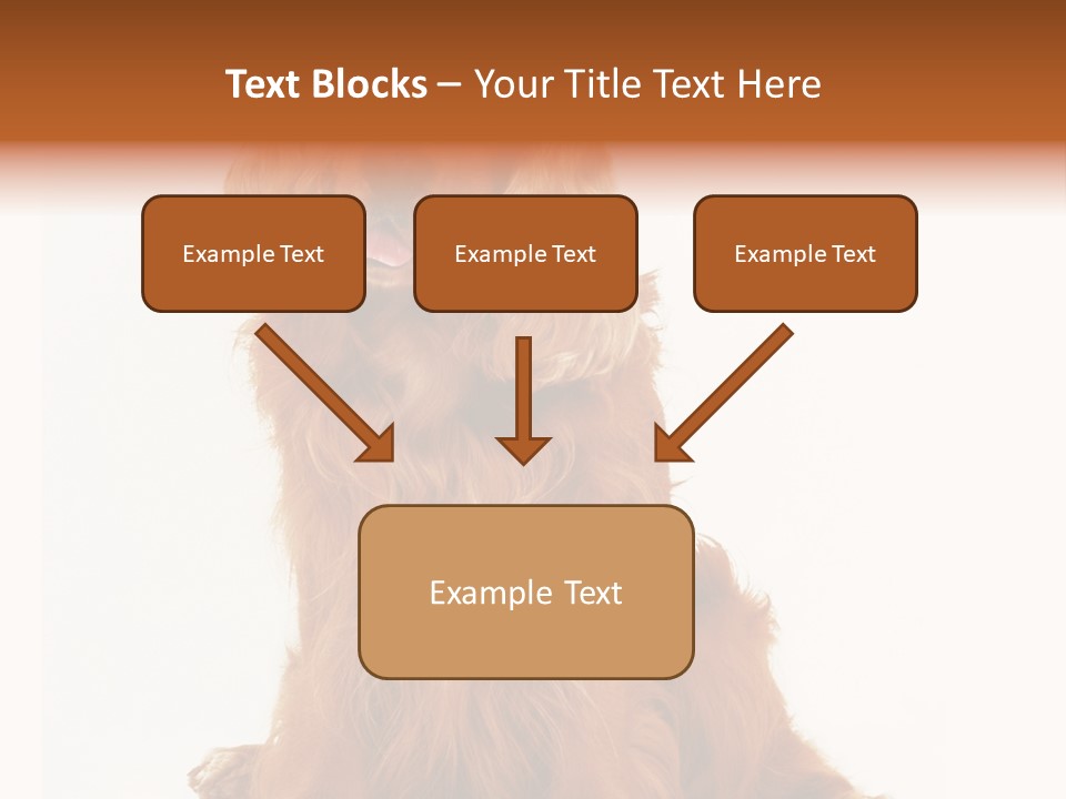 A Brown Dog Sitting On Top Of A White Floor PowerPoint Template