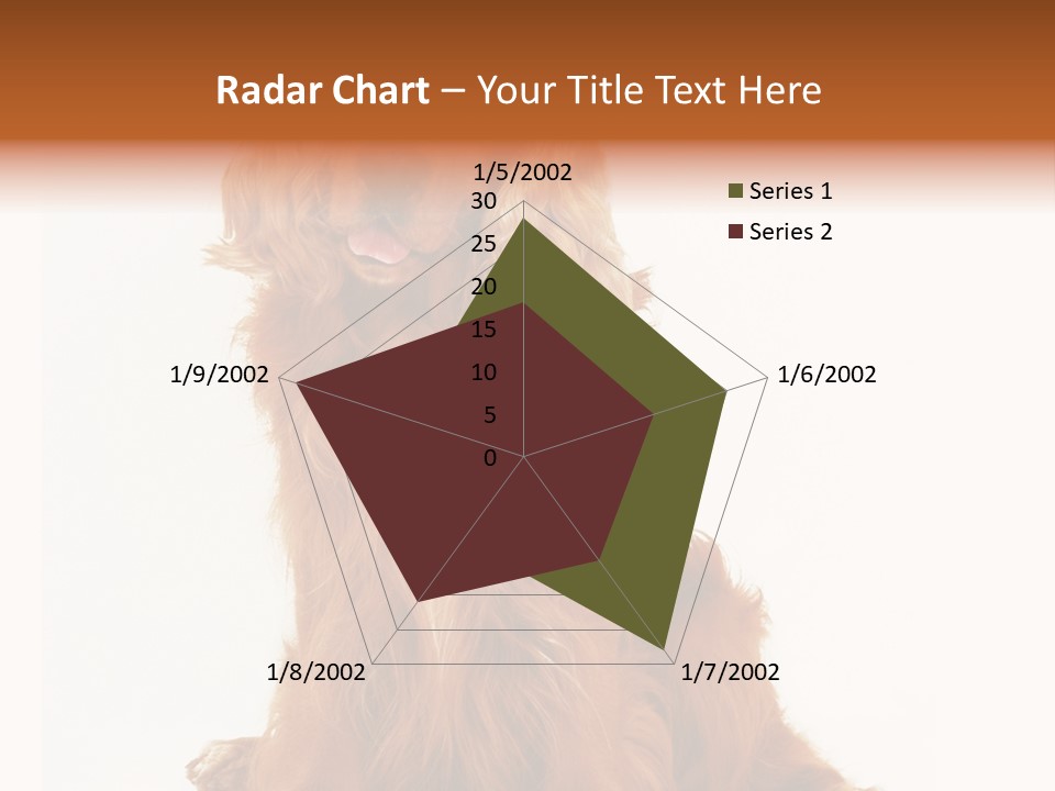 A Brown Dog Sitting On Top Of A White Floor PowerPoint Template