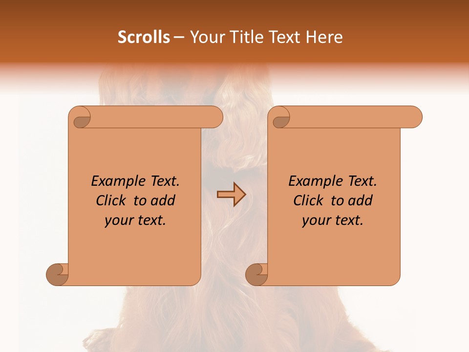 A Brown Dog Sitting On Top Of A White Floor PowerPoint Template