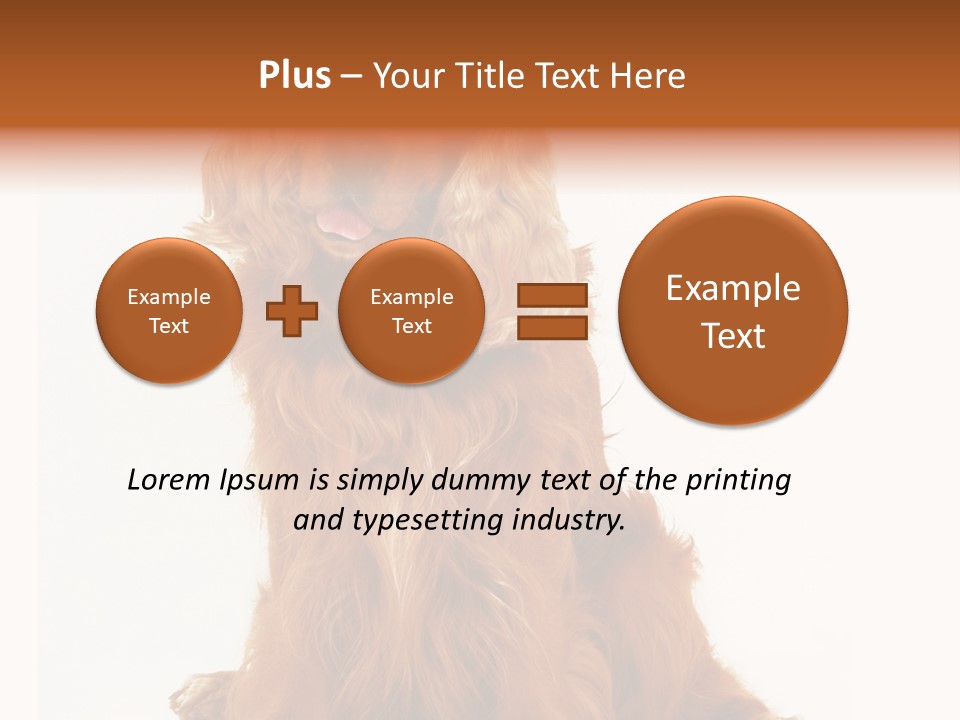 A Brown Dog Sitting On Top Of A White Floor PowerPoint Template