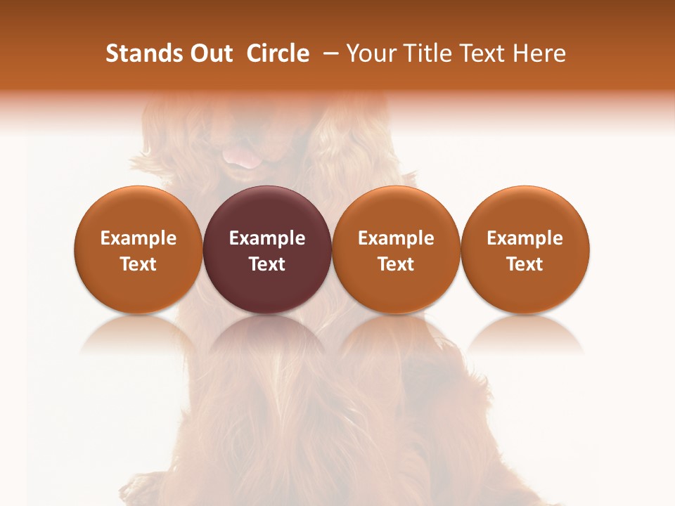 A Brown Dog Sitting On Top Of A White Floor PowerPoint Template